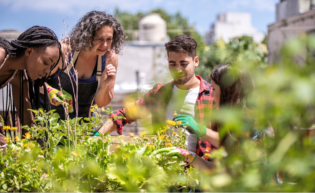 Public open space, allotments & community orchard